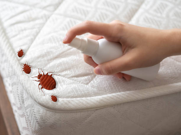 Best Pest Prevention Services  in New Milford, NJ